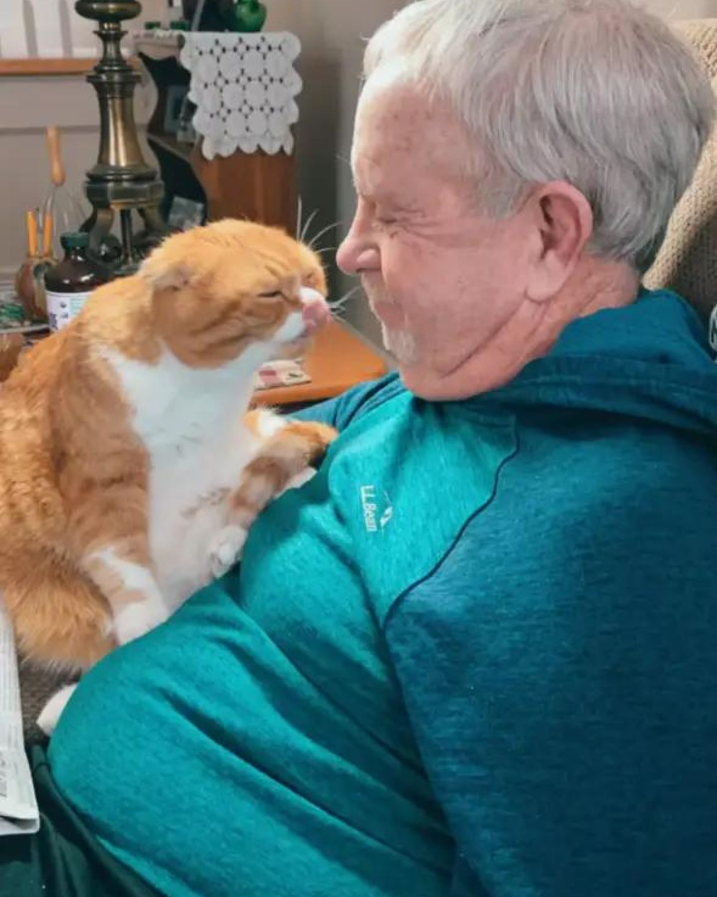 cat sitting on grandpa's chest