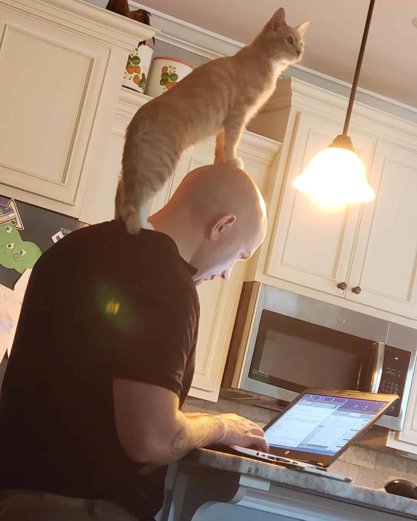 cat standing on man's shoulder