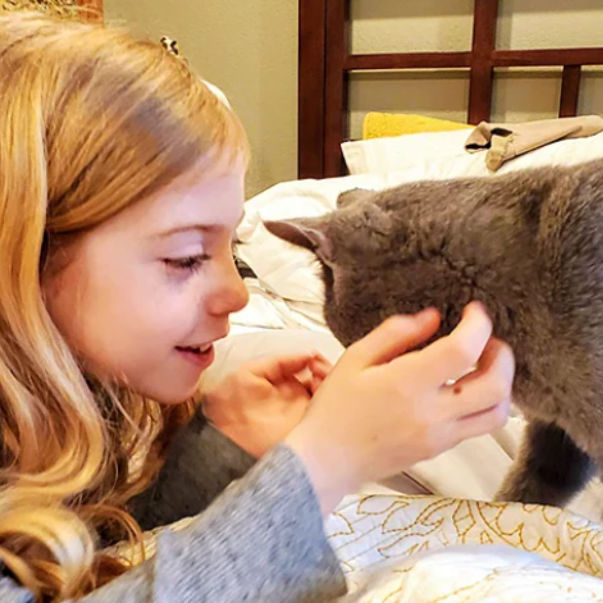 close-up photo of little girl and a cat