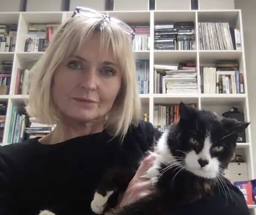 cute black and white cat crashing a meeting