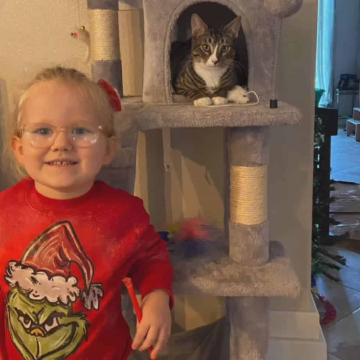 cute little girl posing with cat