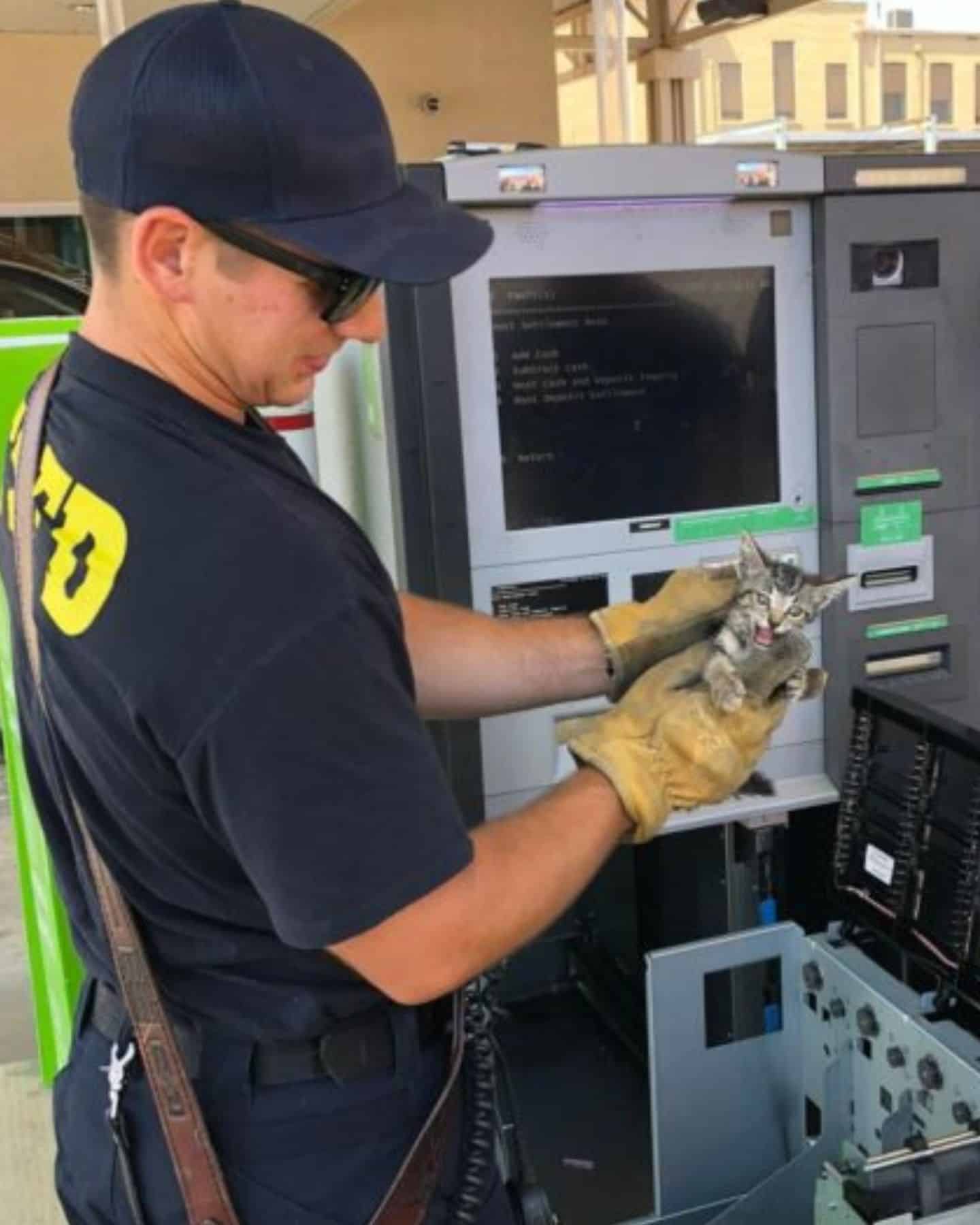 firefighter holding rescued kitten