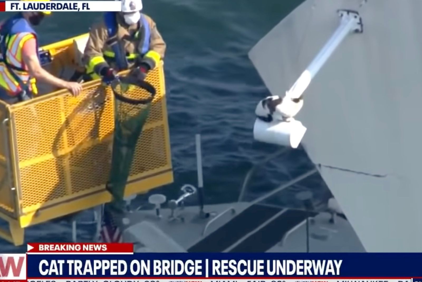 firefighters rescuing cat