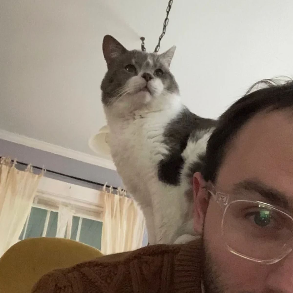 guy with glasses and cat