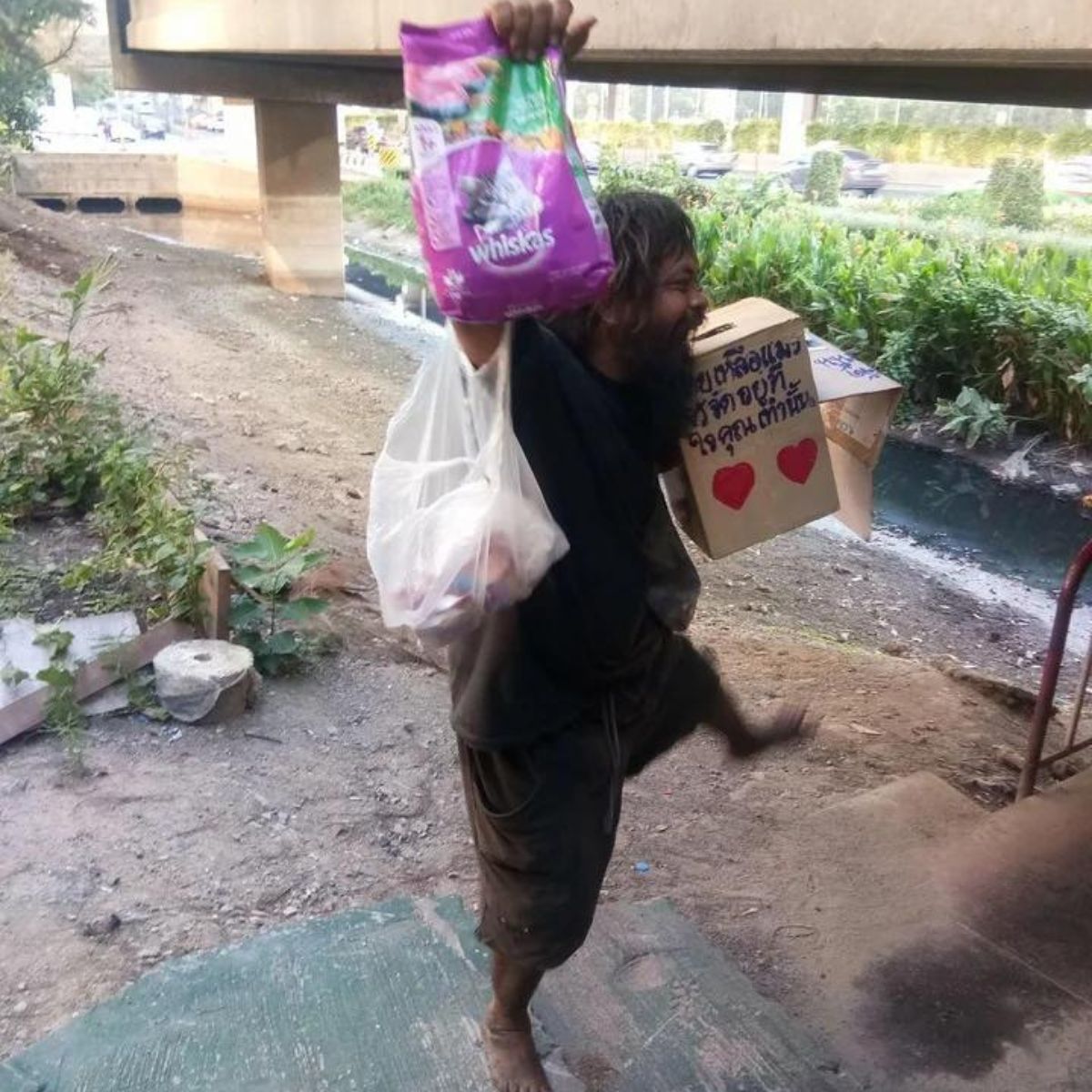 homeless guy and cats food