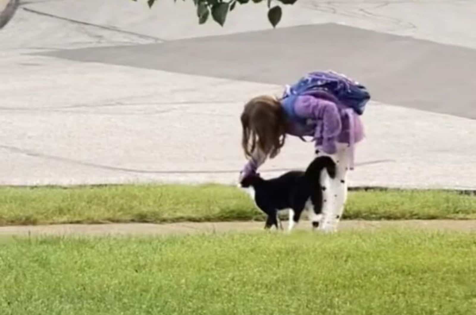 little girl petting a cat