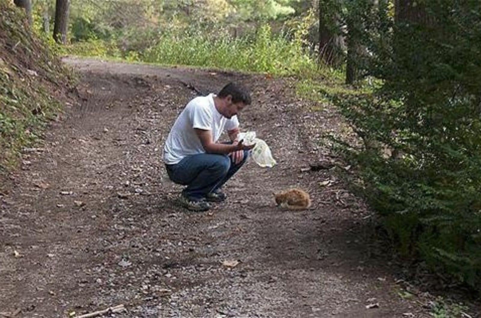 man and kitten in the woods