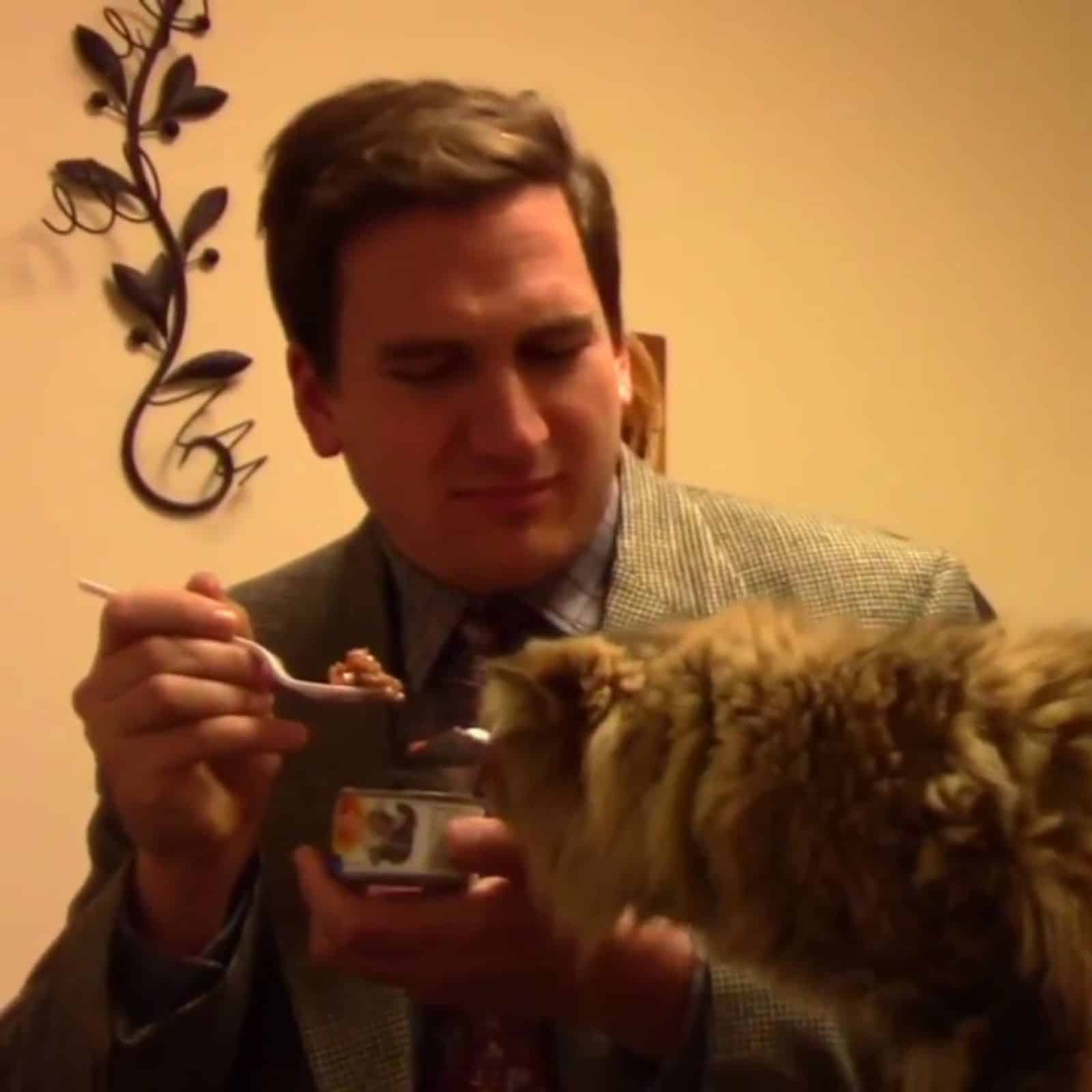 man feeding a cat