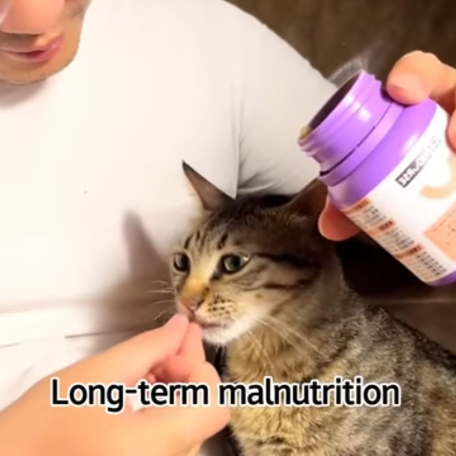 man giving cat a treat