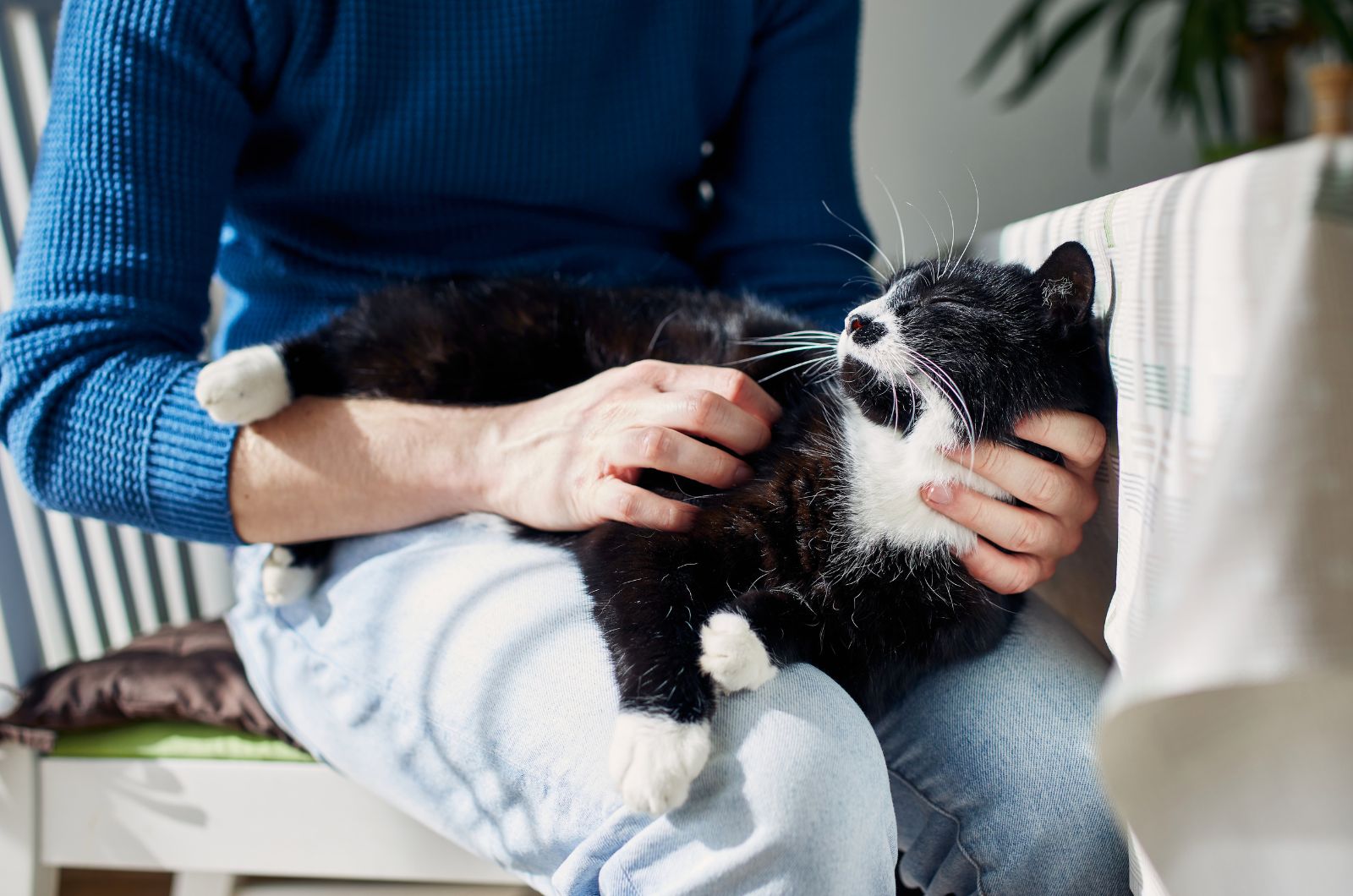 man holding black and white cat on lap