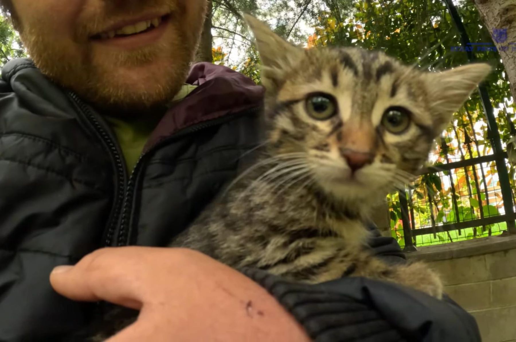 man holding stray cat