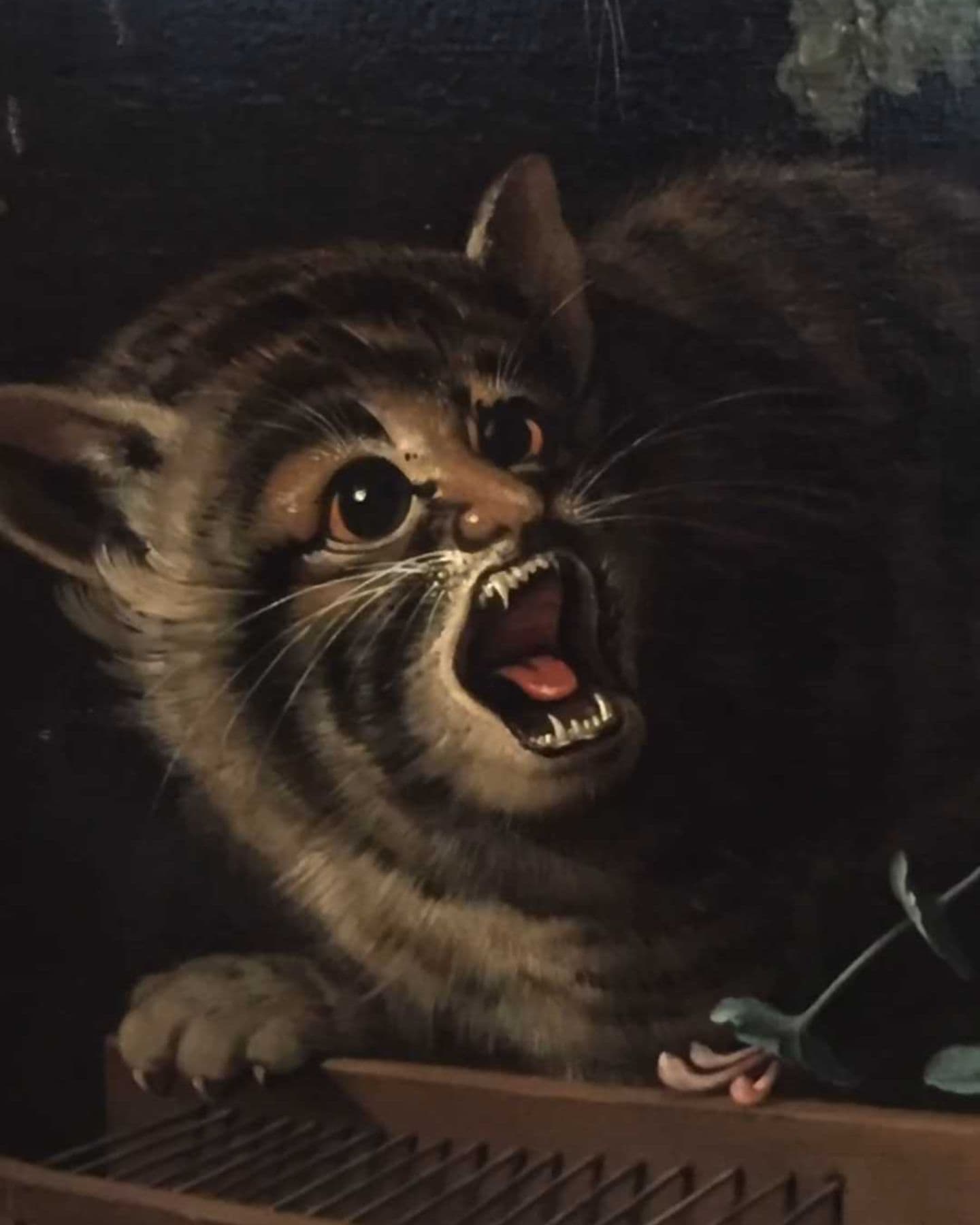 medieval cat hissing