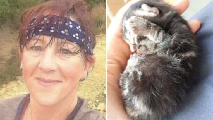 This Woman Never Thought A Kitten-Fall Would Ever Interrupt Her Jog Session