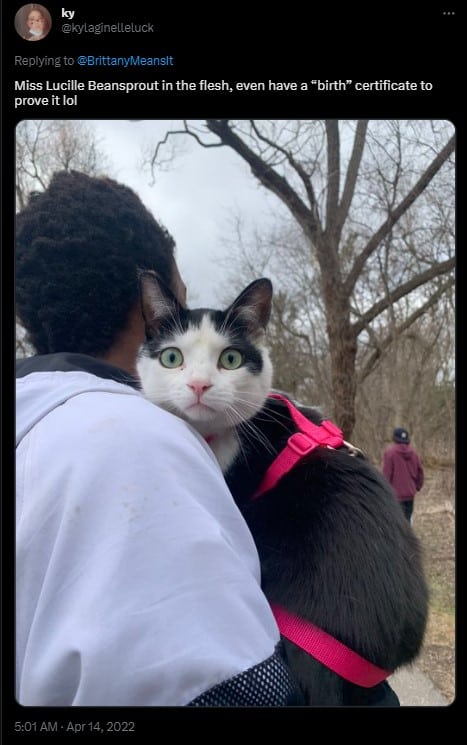 photo of Miss Lucille Beansprout