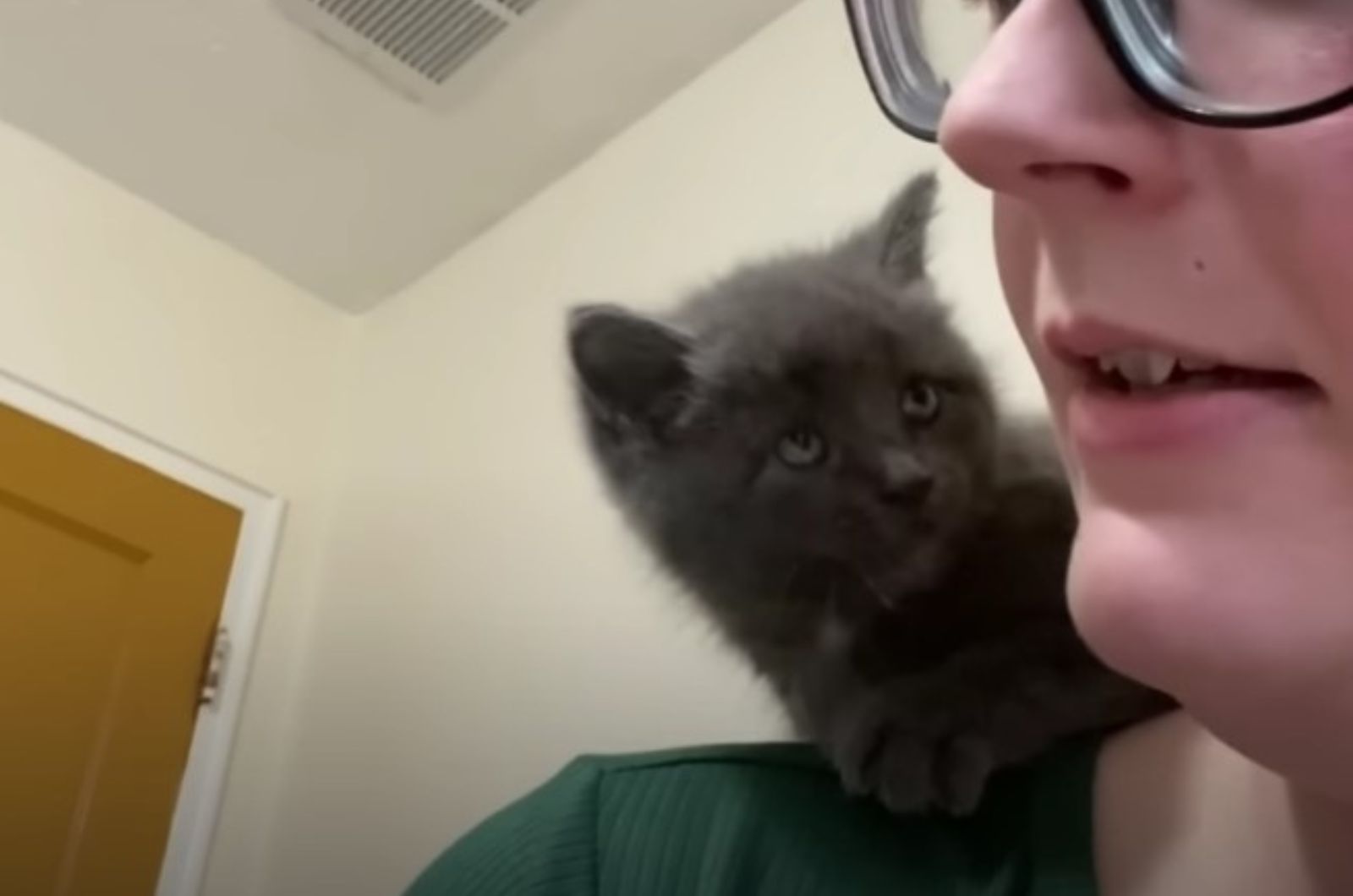 photo of kitten on woman's shoulder