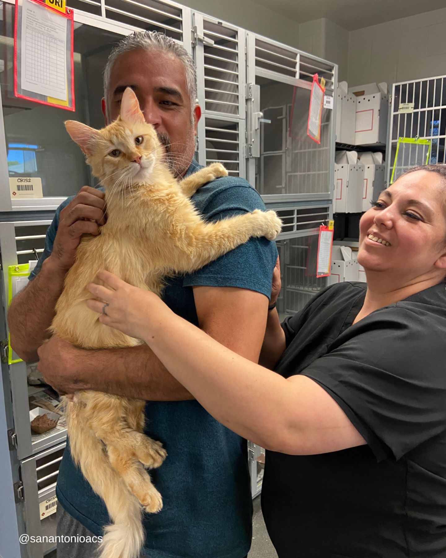 photo of man and woman with a cat