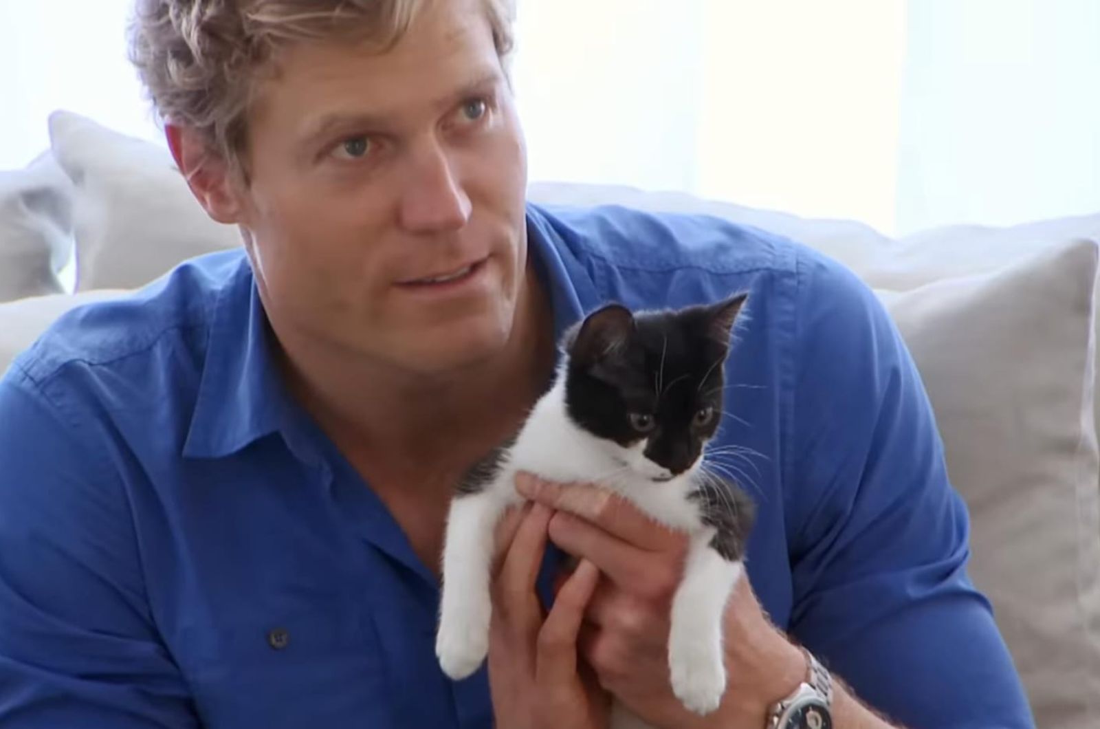 photo of vet holding the cat