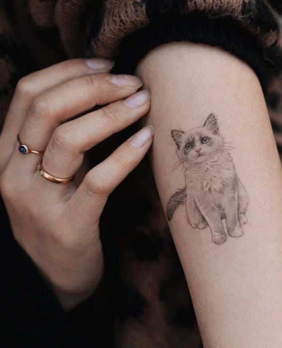 sad cat tattoo on a woman's arm