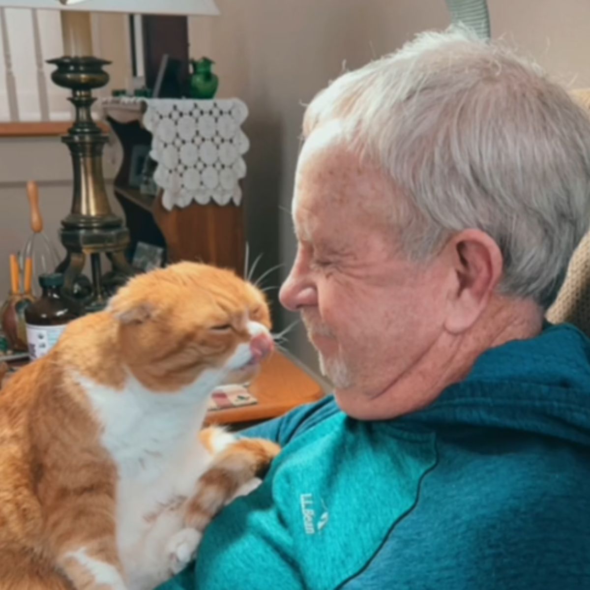 senior man with cat on his chest