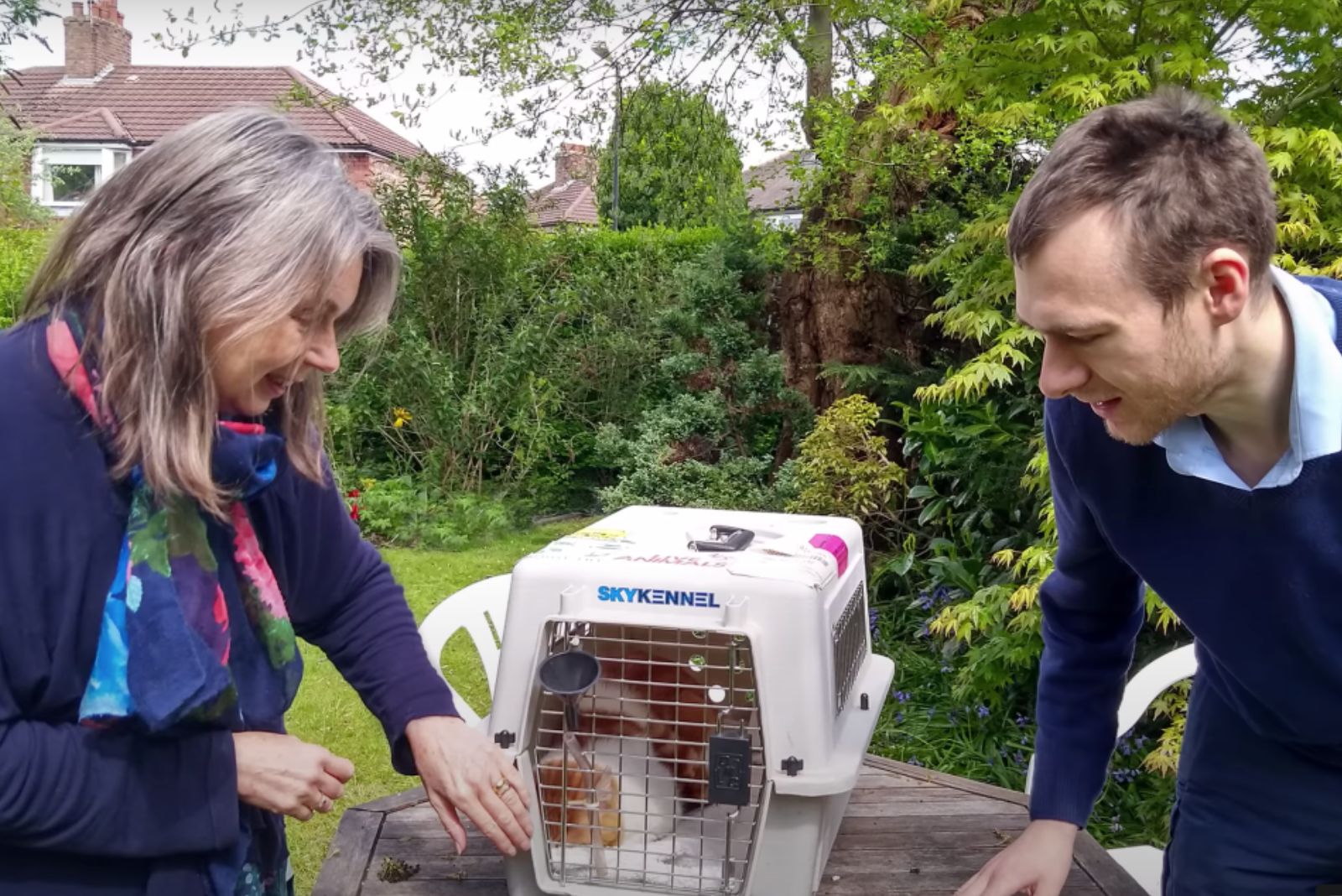 senior woman and a man taking cats out the box