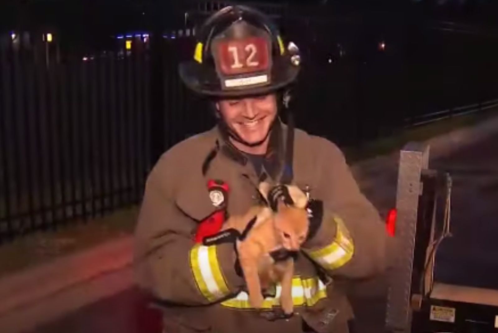 smiling firefighter holding a cat