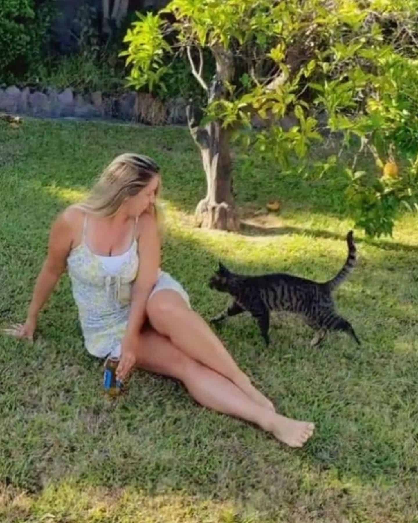 the cat approaches the girl sitting on the lawn