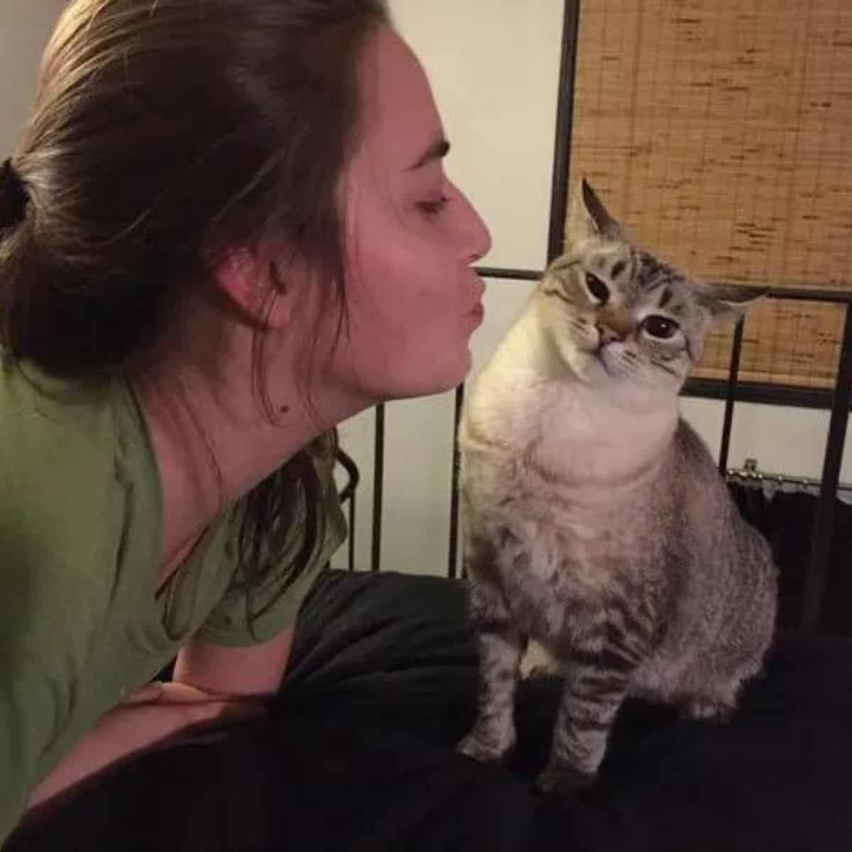 the cat escapes from the woman who tries to kiss it