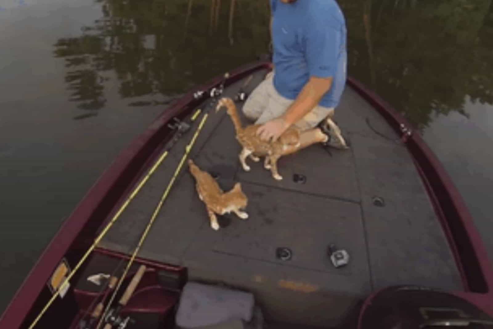 two kittens saved by two fishermen