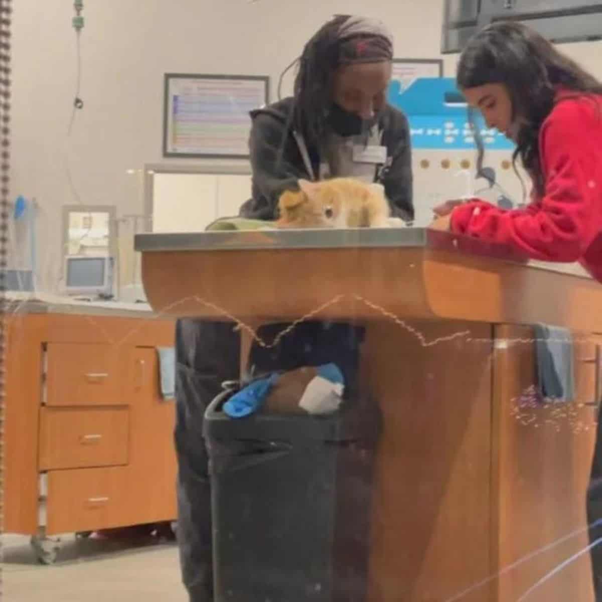 two women with cat on the table