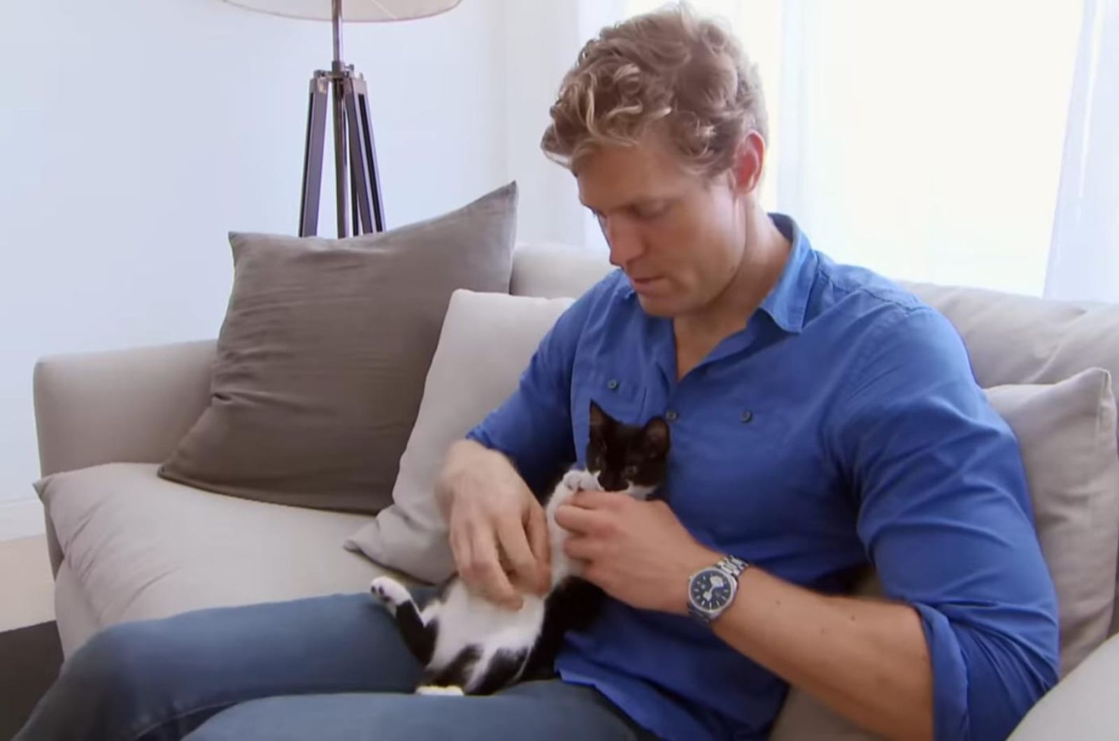 vet holding cat in his lap
