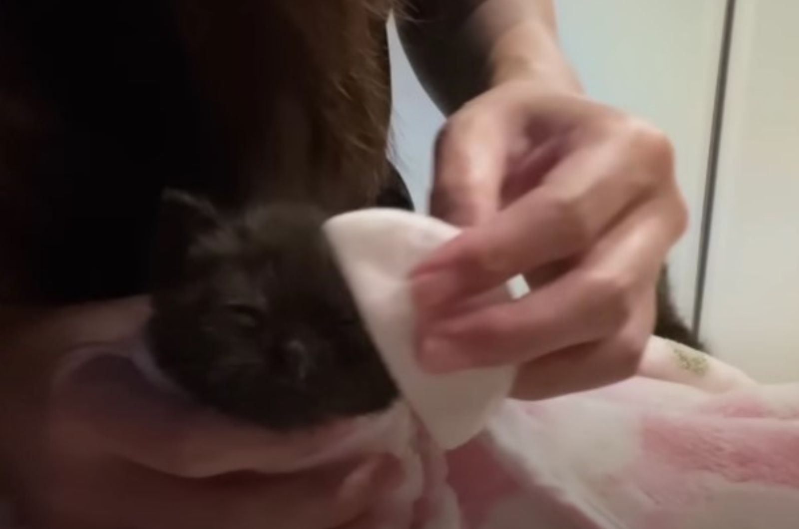 woman cleaning cat's eyes