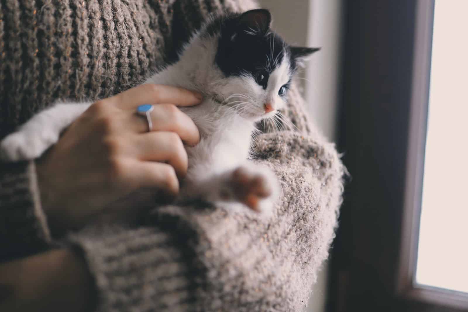 woman cuddling the cat while holding her