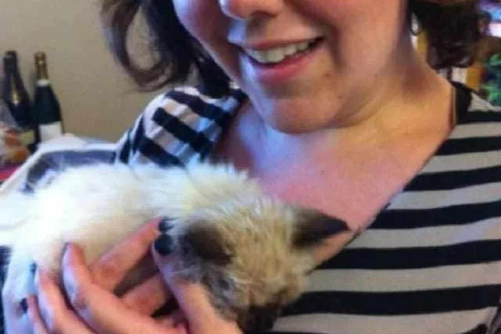 woman holding a grey kitten