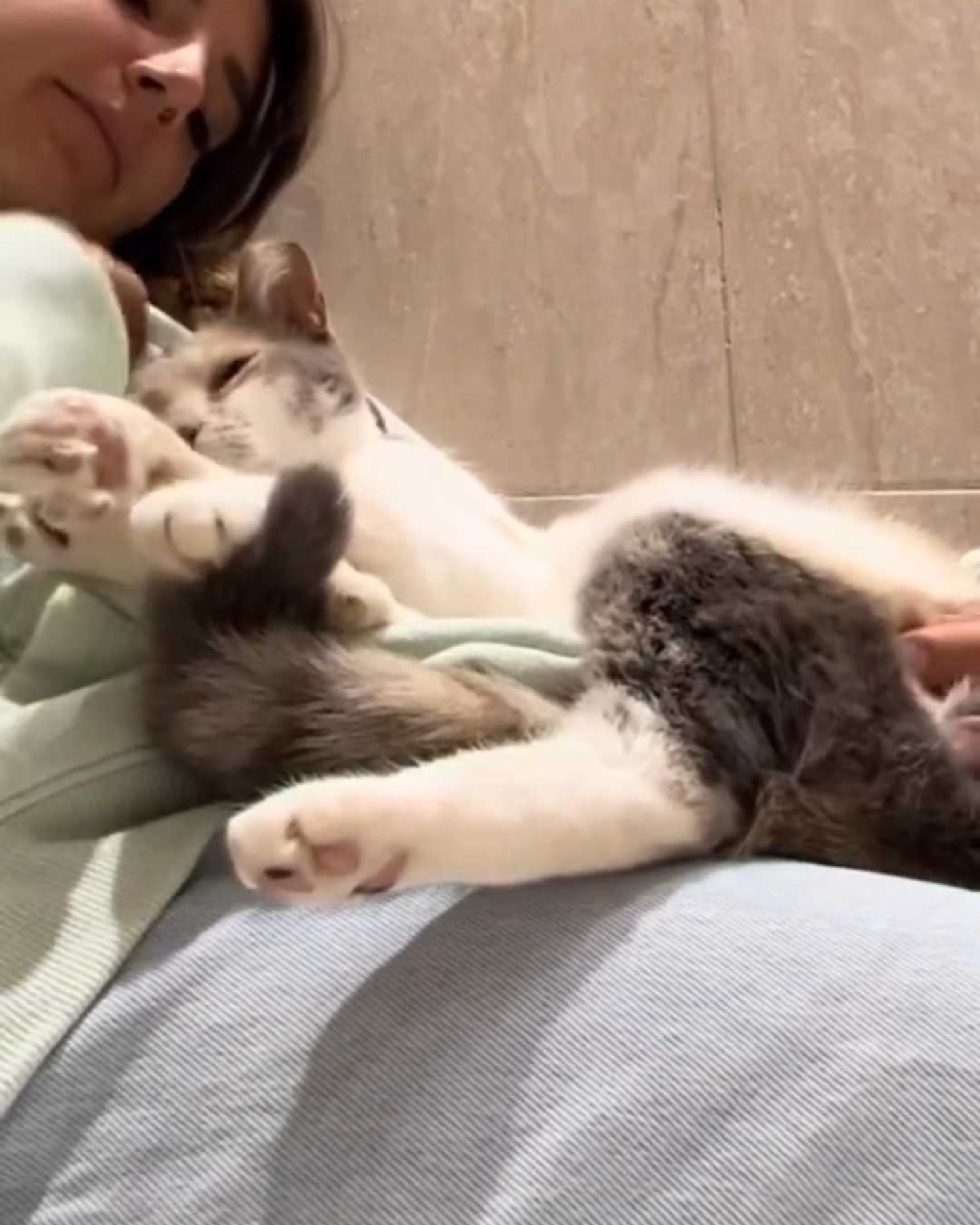 woman holding a paralyzed cat