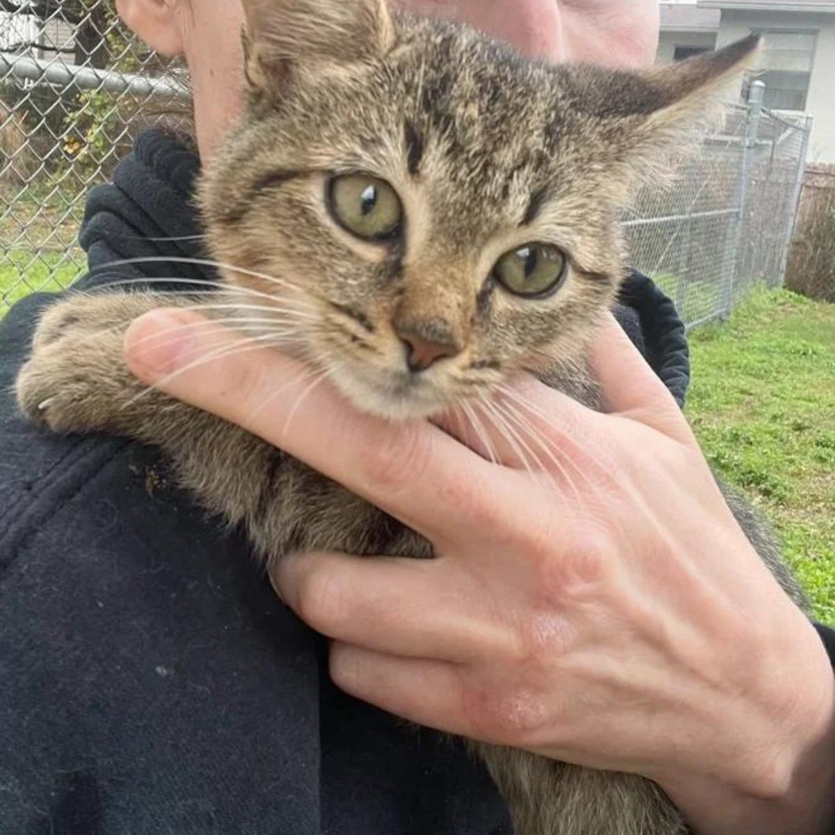 woman holding a rescued cat