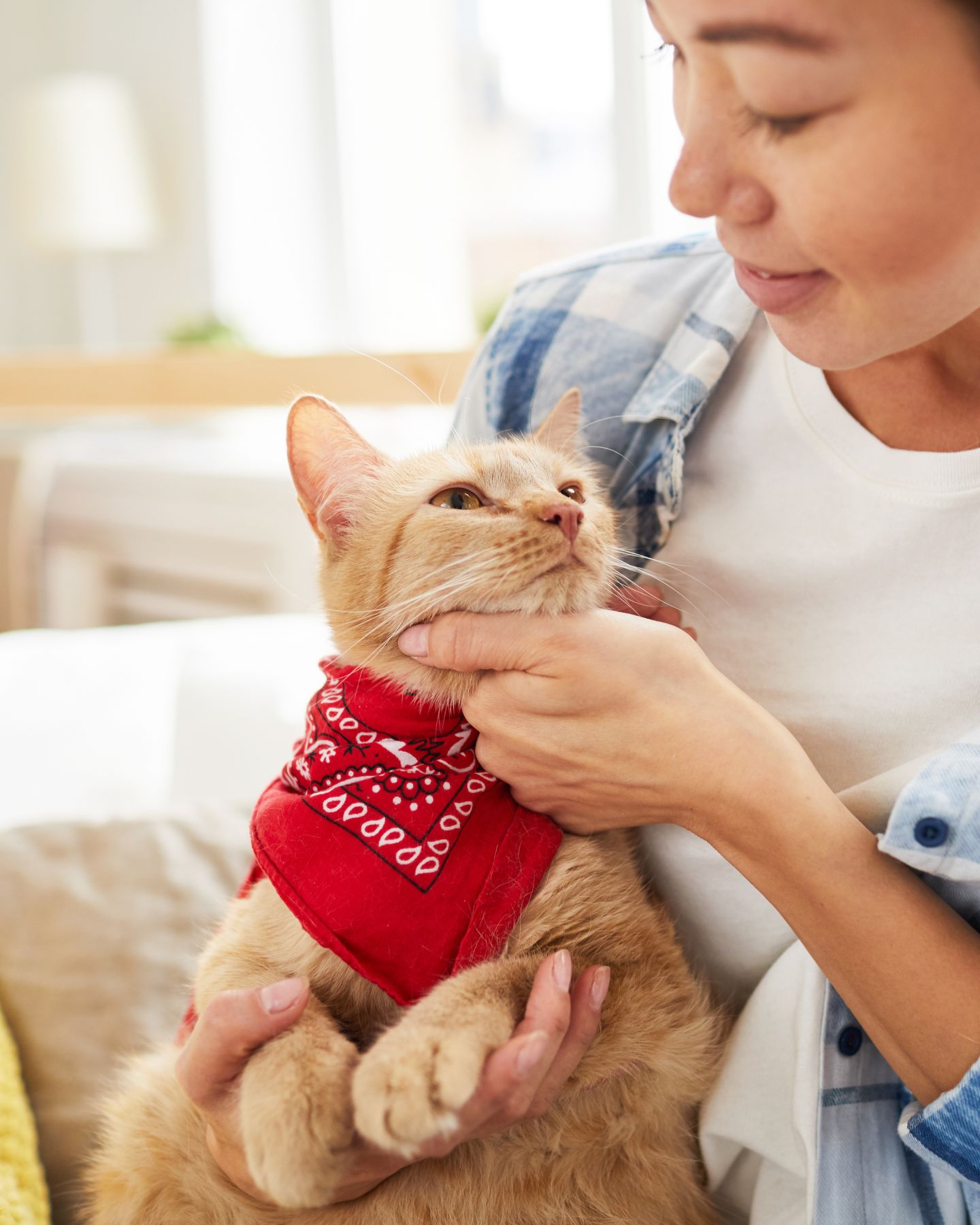 woman holding and petting a ginger cat