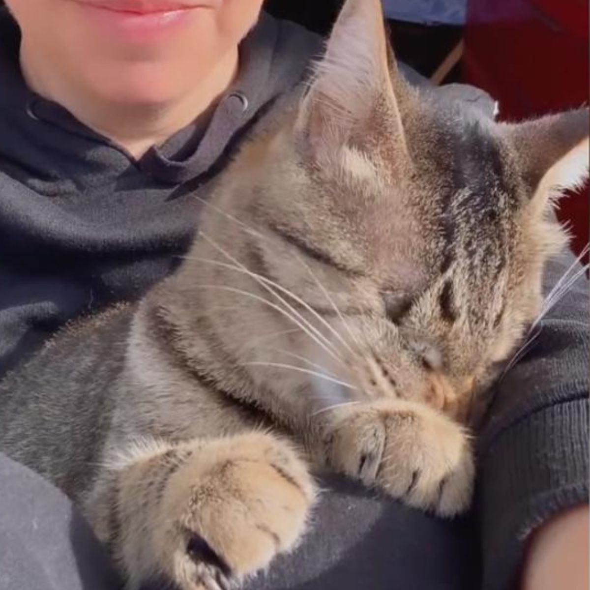 woman holding blind cat