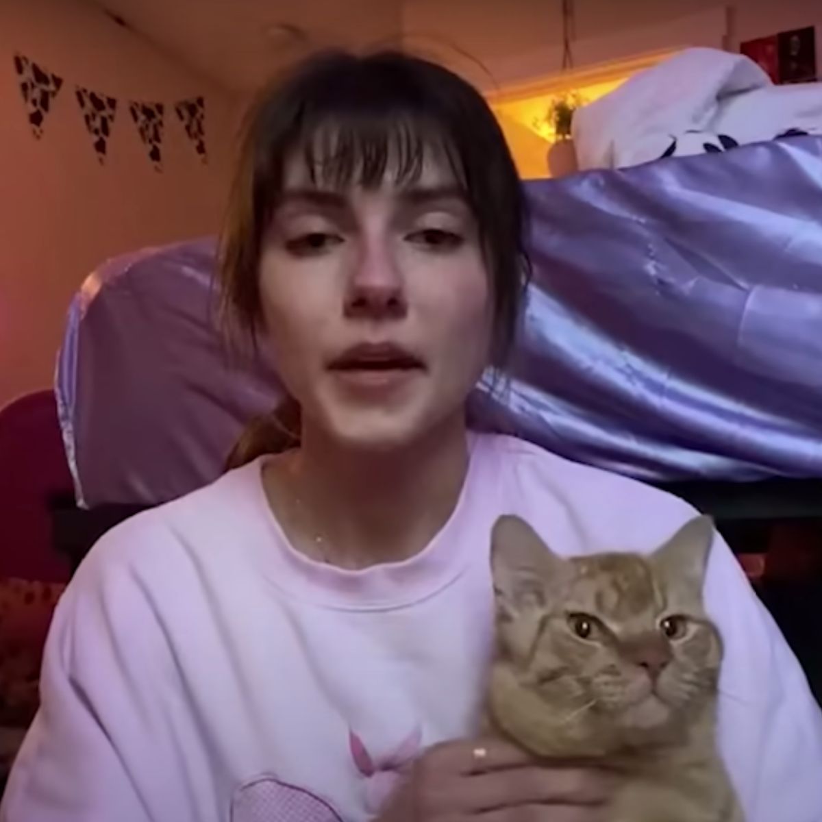 woman holding ginger cat