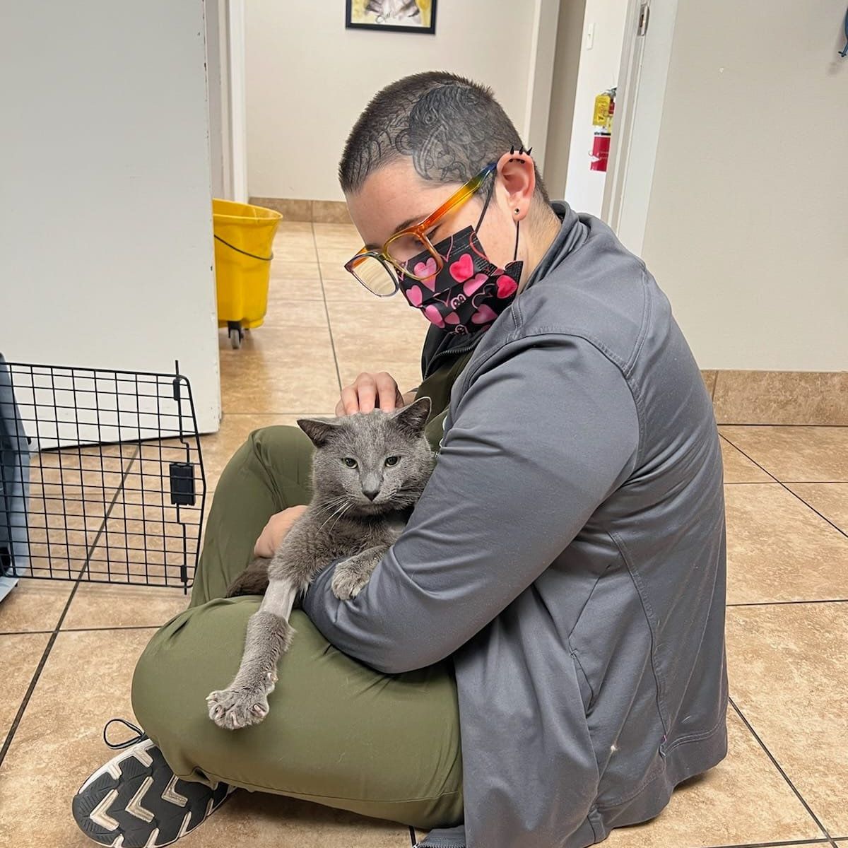 woman holding injured cat