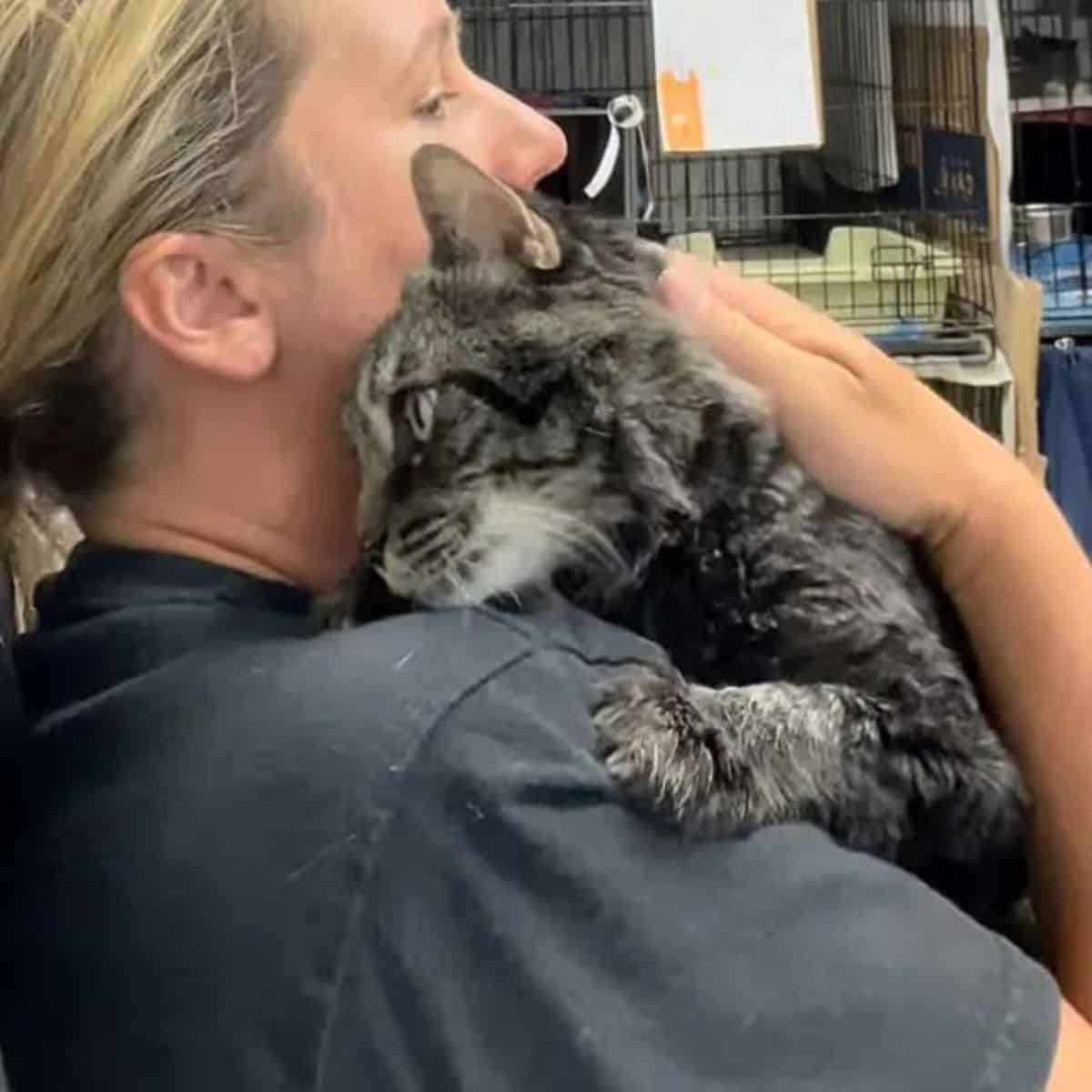 woman holding the cat on her shoulder