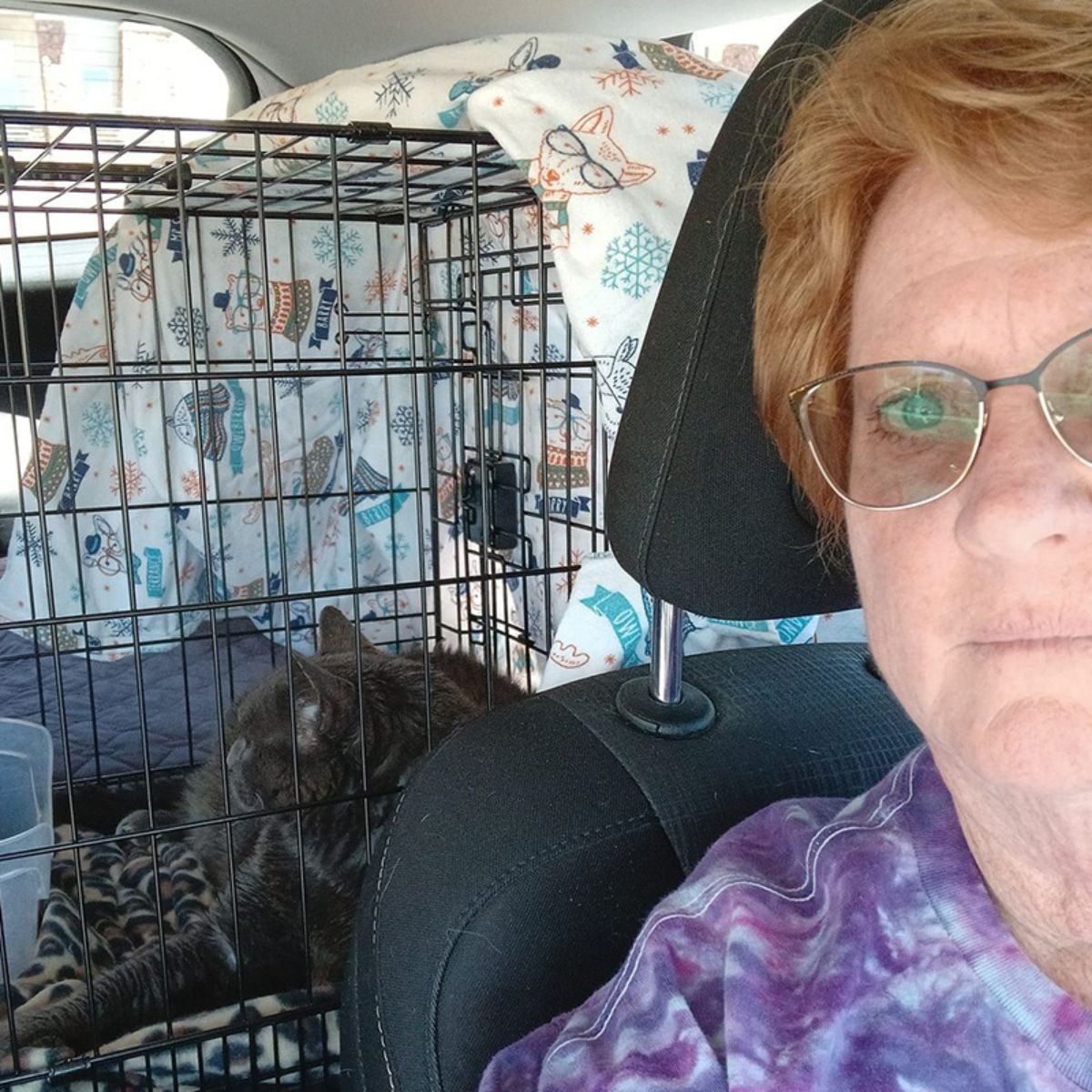 woman in a car with cat in a kennel