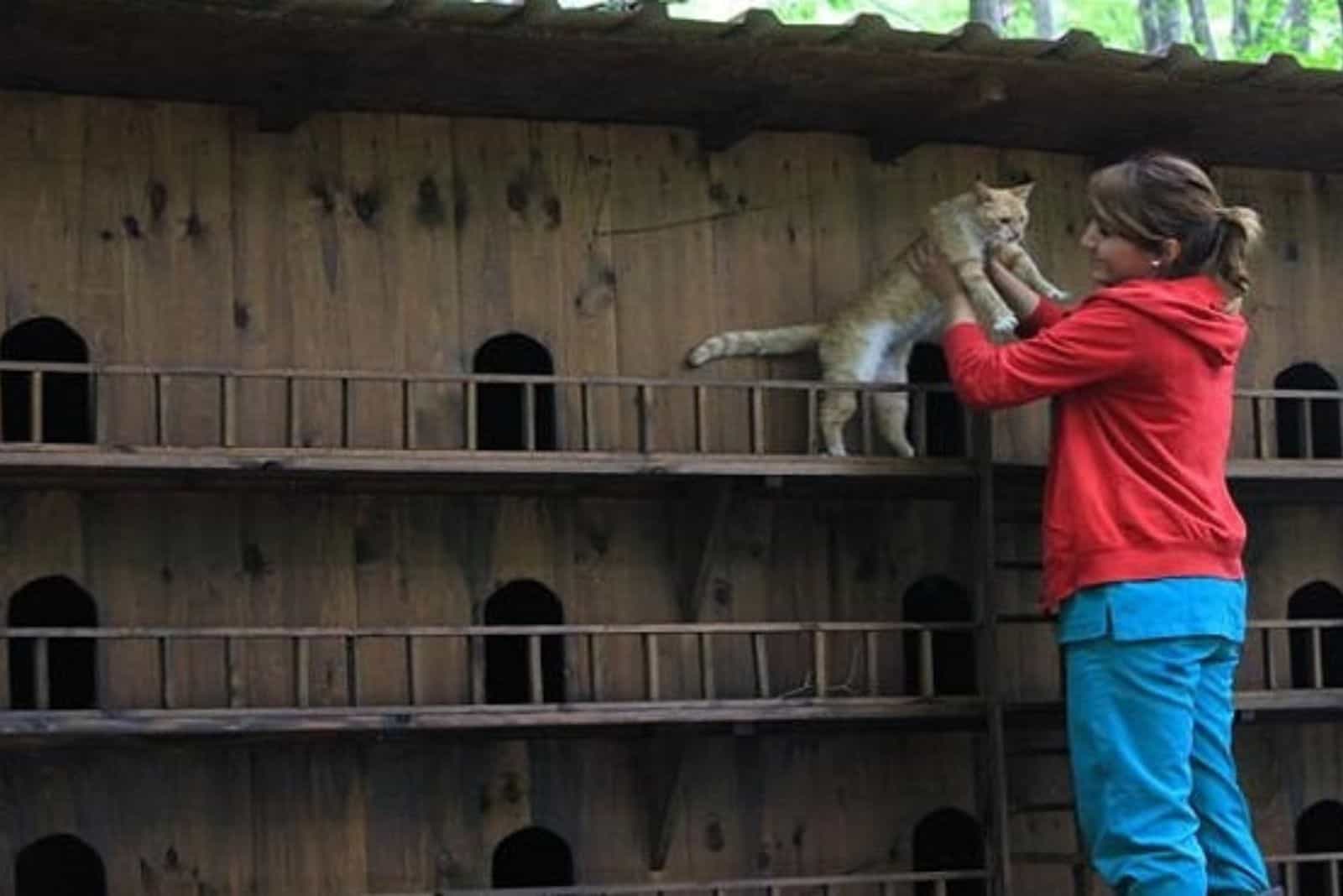 woman in red hoodie picking up a cat