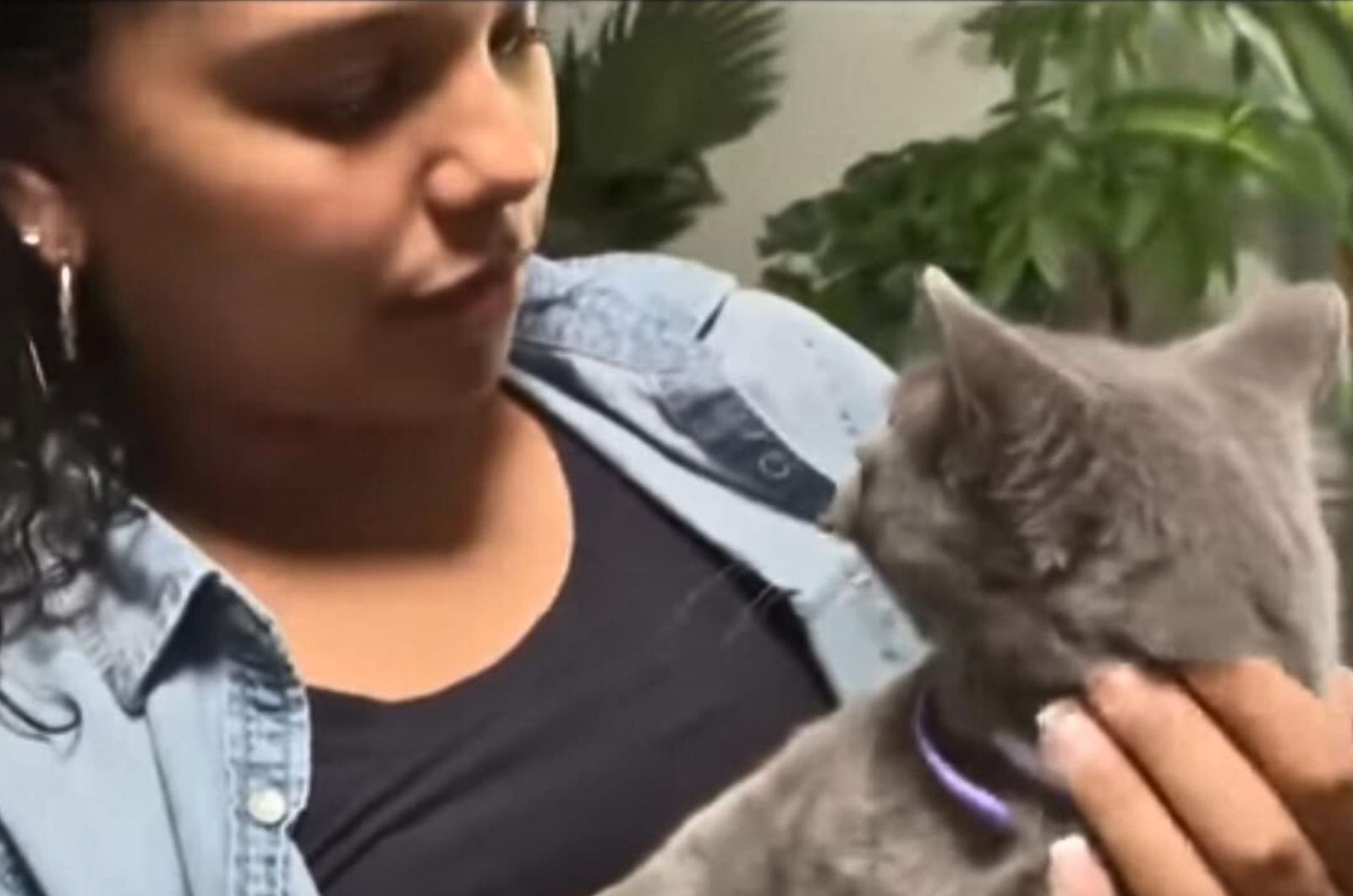 young girl holding a cat