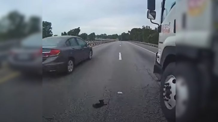 Florida Officer Stops Highway Traffic Because Of A Dramatic Rescue