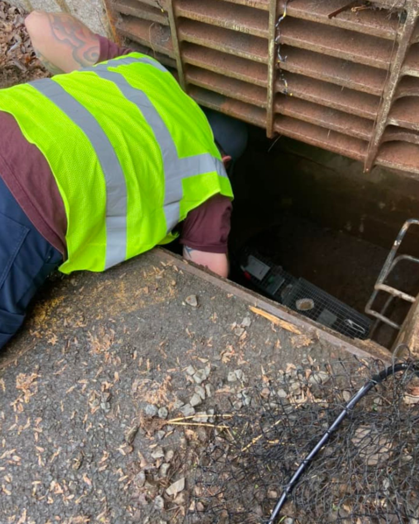 guy saving a kitten