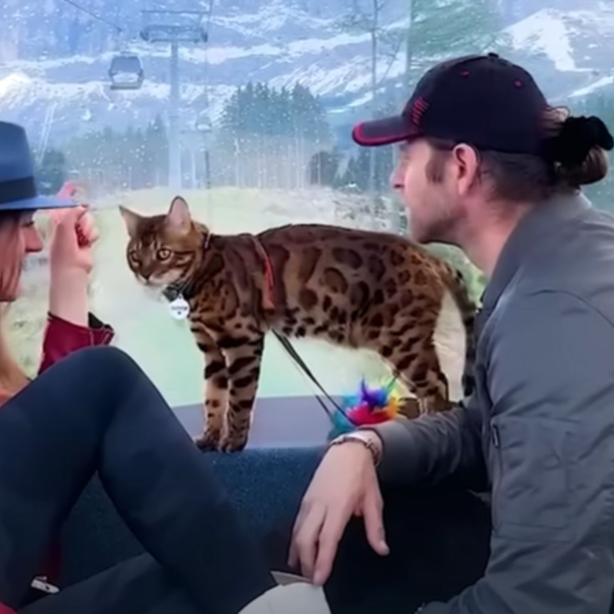 man and woman sitting with cat