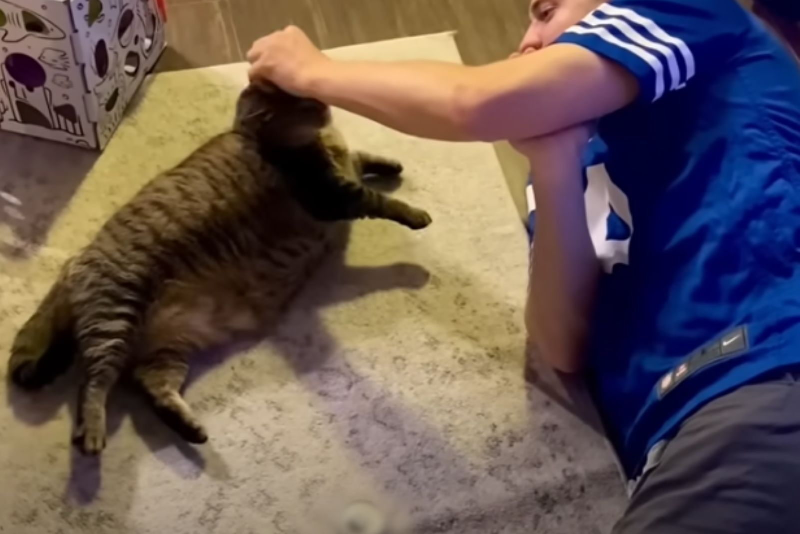 man lying on floor next to a cat