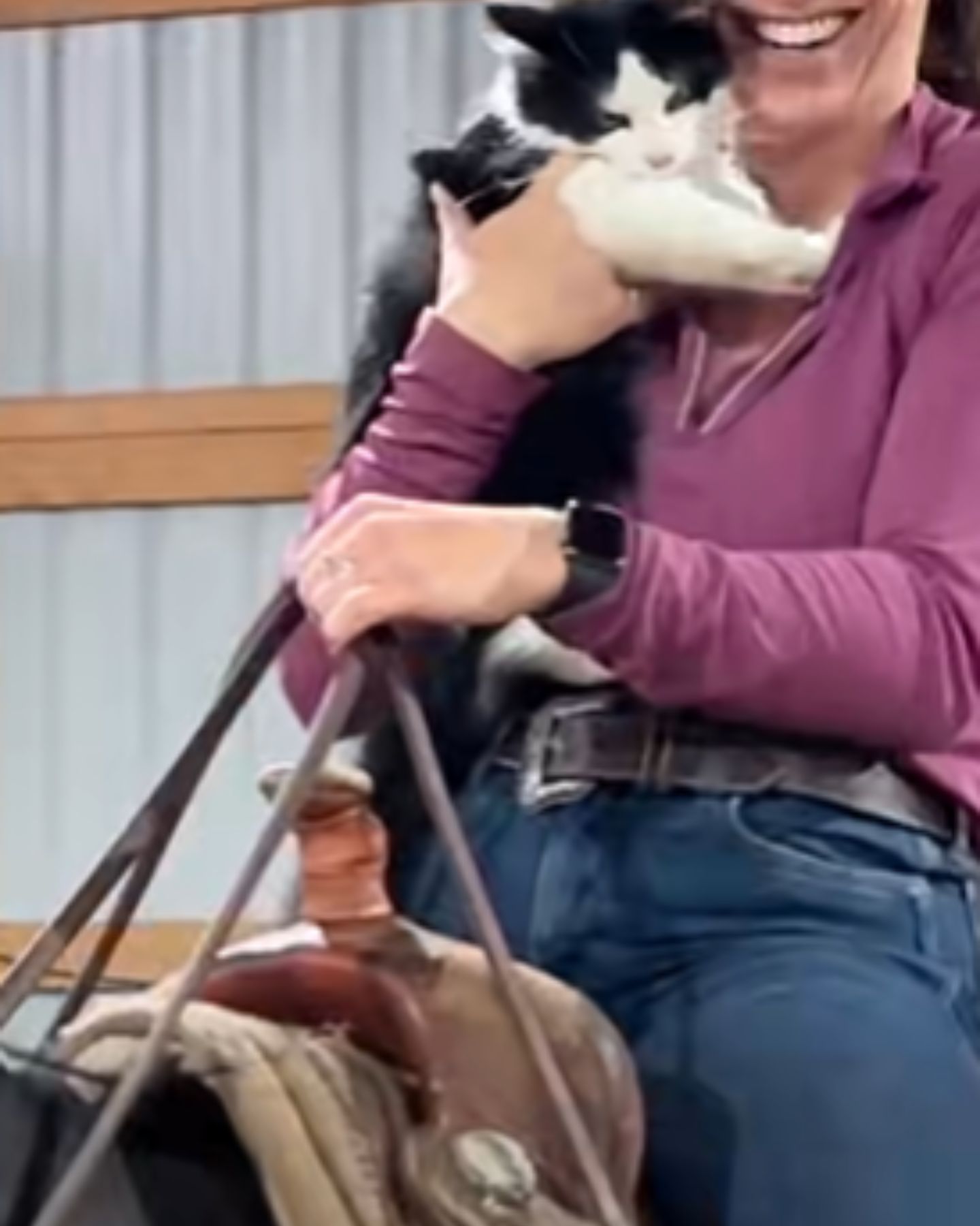 woman and a cat riding a horse