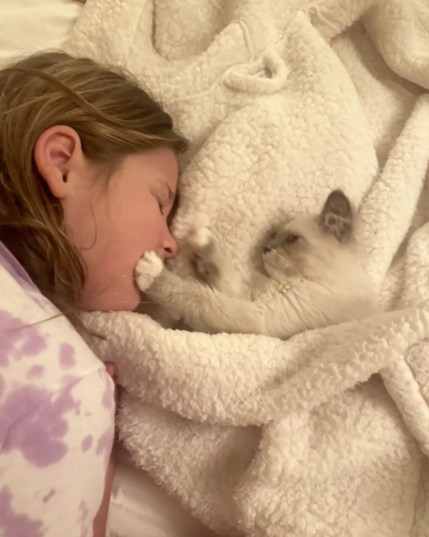 woman and cat laying down