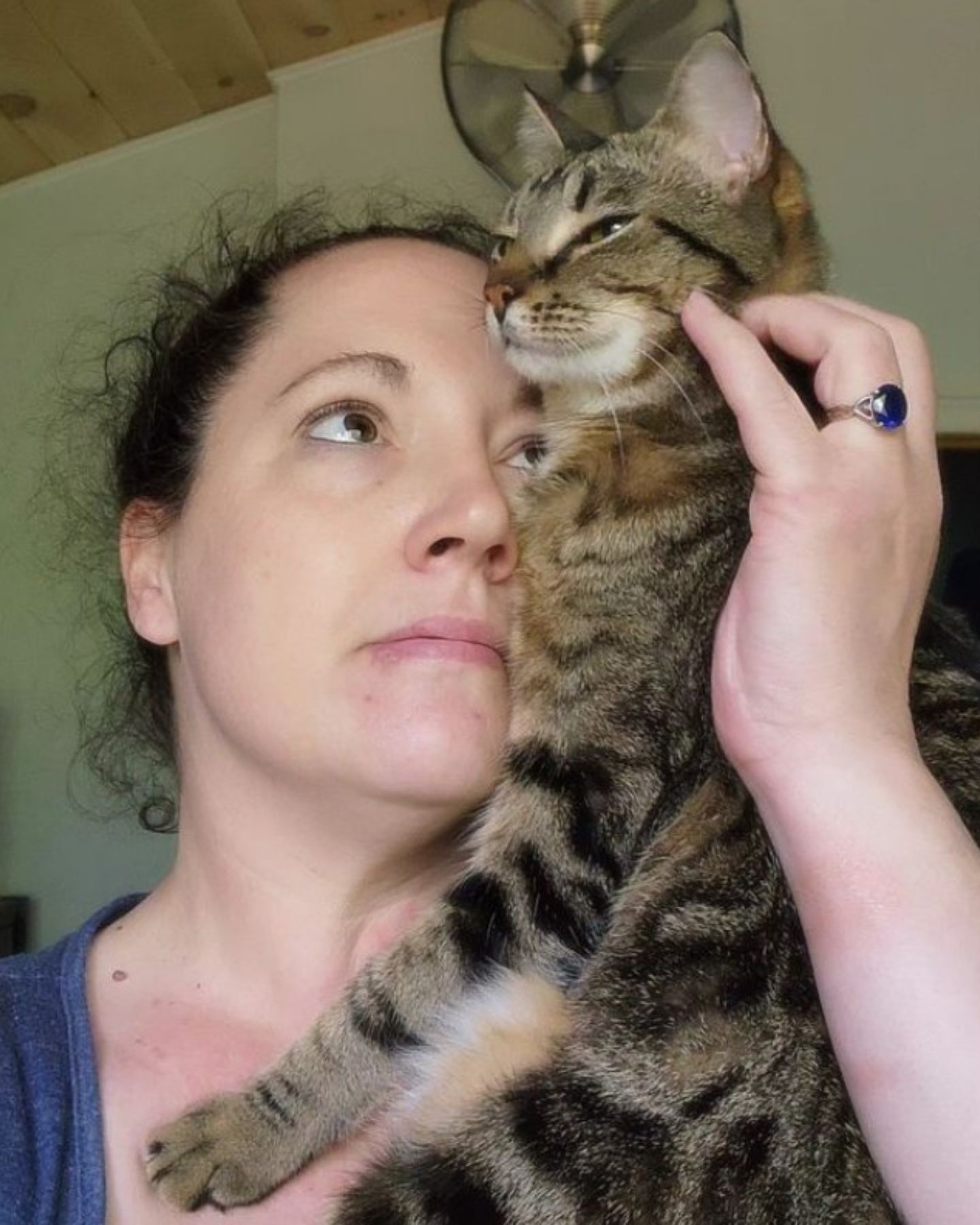 woman and cute domestic cat